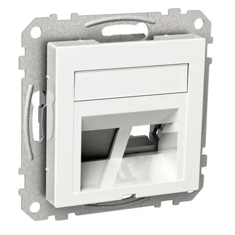 I lager Schneider Electric Actassi WDE002436 Centrumplatta
